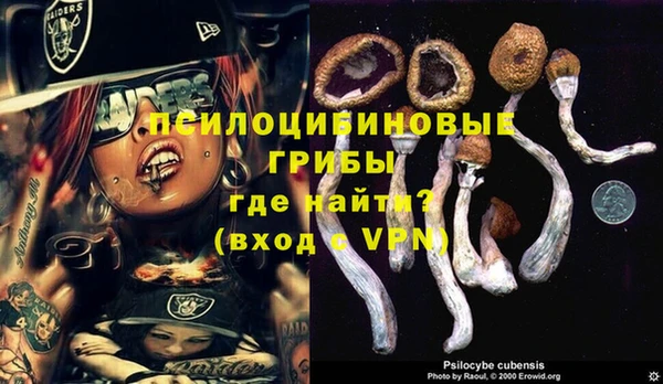 мяу мяу кристалл Верея