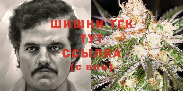 PSILOCYBIN Верхний Тагил