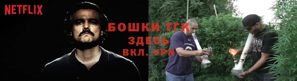 PSILOCYBIN Верхний Тагил
