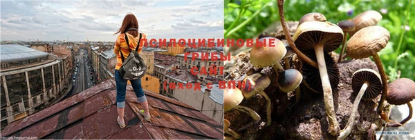 мяу мяу кристалл Верея