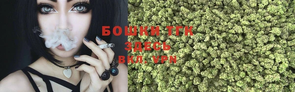 ECSTASY Сосновоборск