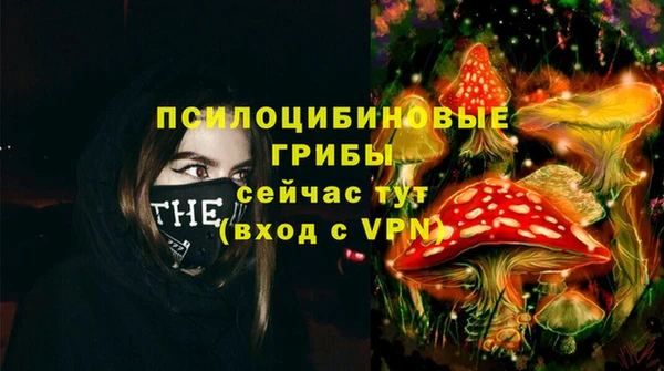 PSILOCYBIN Верхний Тагил