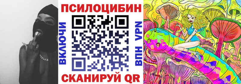 наркотики  Ростов  Галлюциногенные грибы Psilocybine cubensis 