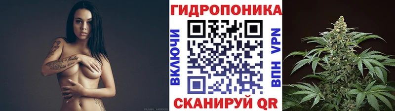 Шишки марихуана Amnesia  Ростов 